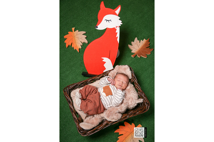 anne geddes bébé renard automne cognac ruffec barbezieux fffa brie champniers vars pons