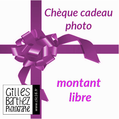 cheque cadeau photo angouleme cognac charente